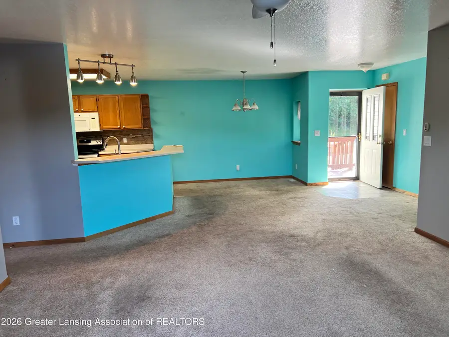 303 Wildwood Drive, Cadillac, MI 49601 - #2