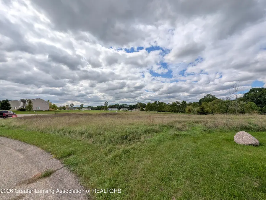 0 Mountainmint Circle, Portland, MI 48875 - #3