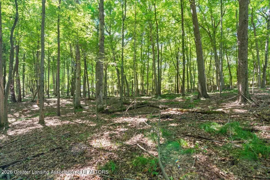 5663 Iosco Mountain Road, Gregory, MI 48137 - #3