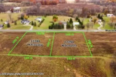 12290 S Wacousta Road, Eagle, MI 48822 - #2