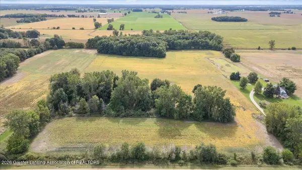 V/l Huff Road, Elsie, MI 48831