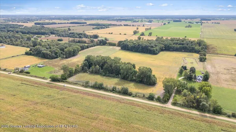 V/l Huff Road, Elsie, MI 48831 - #3