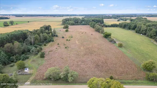 V/l Vincent Road, Elsie, MI 48831