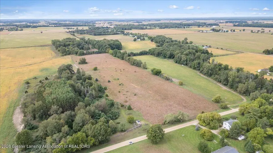 V/l Vincent Road, Elsie, MI 48831 - #3