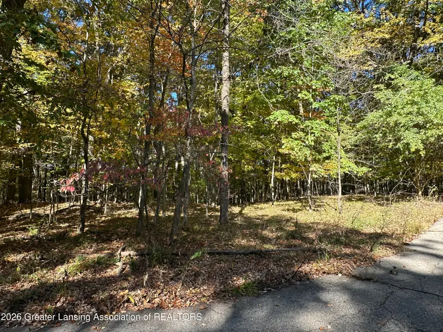 4103 Van Atta Road, Okemos, MI 48864 - #2