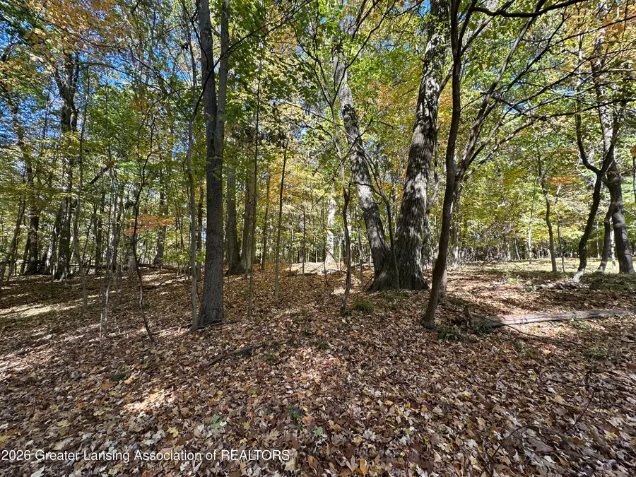 4103 Van Atta Road, Okemos, MI 48864 - #3
