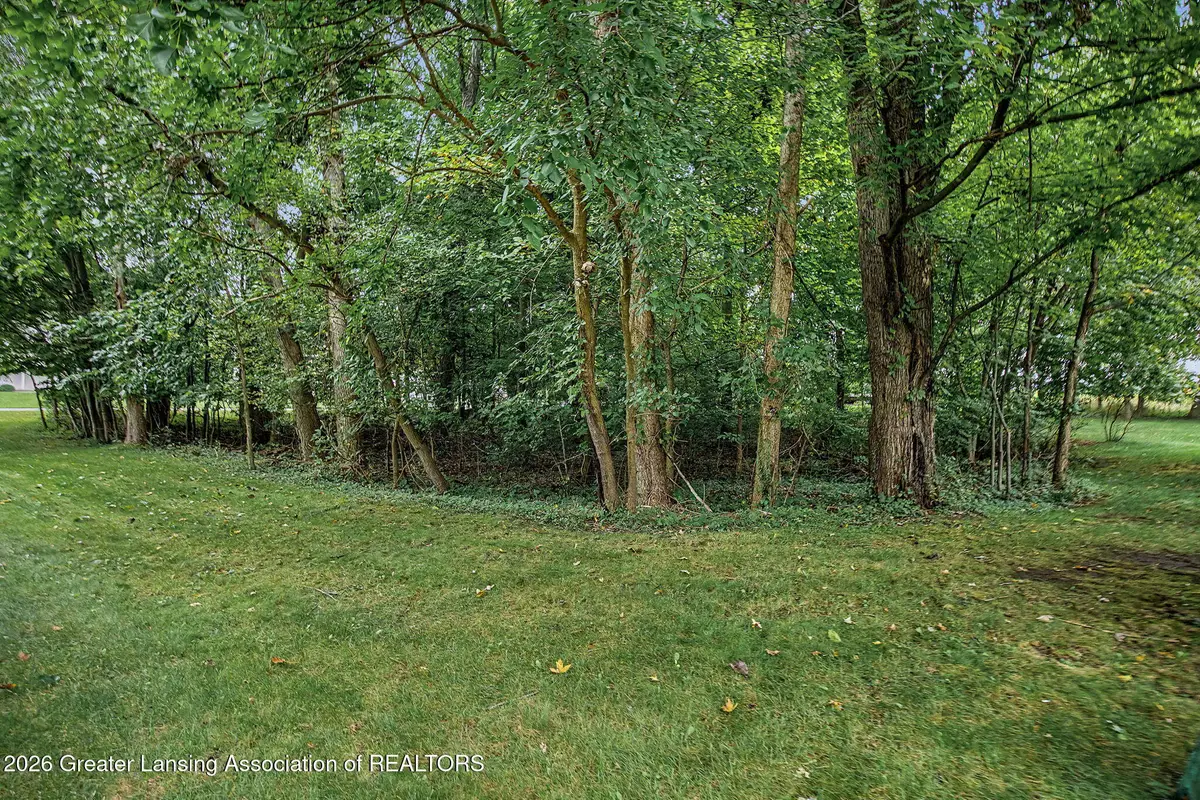 302 N Donegal Street, Eaton Rapids, MI 48827 - #1
