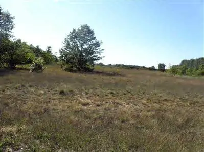 14 Trim Lake View Estates, New Era, MI 49446 - #1