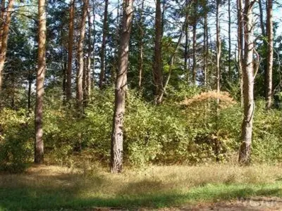 10412 Mountain View Trail #378, Canadian Lakes, MI 49346 - Image #1