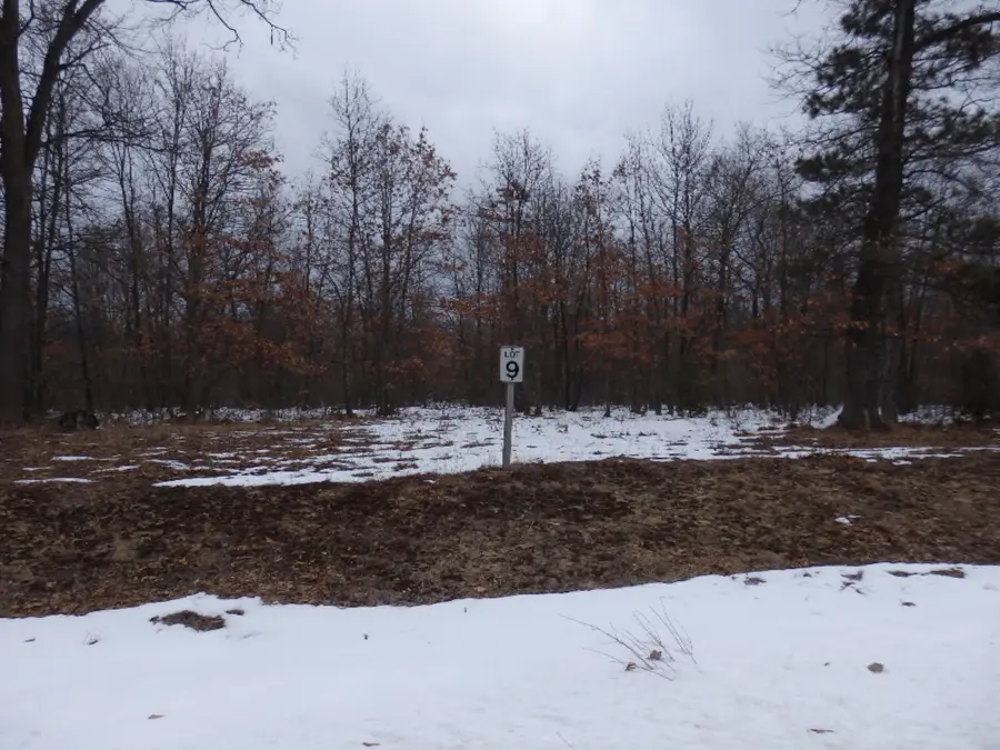 Lot 9 Renaissance, Manistee, MI 49660 - Image #3