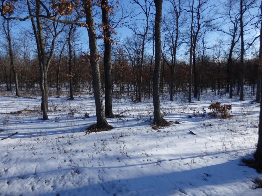 40 Acres M-55, Manistee, MI 49660 - Image #3