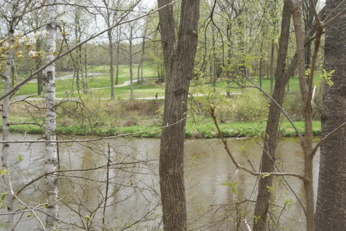 Lot 9 Whitetail Trail, Mount Pleasant, MI 48858 - Image #1