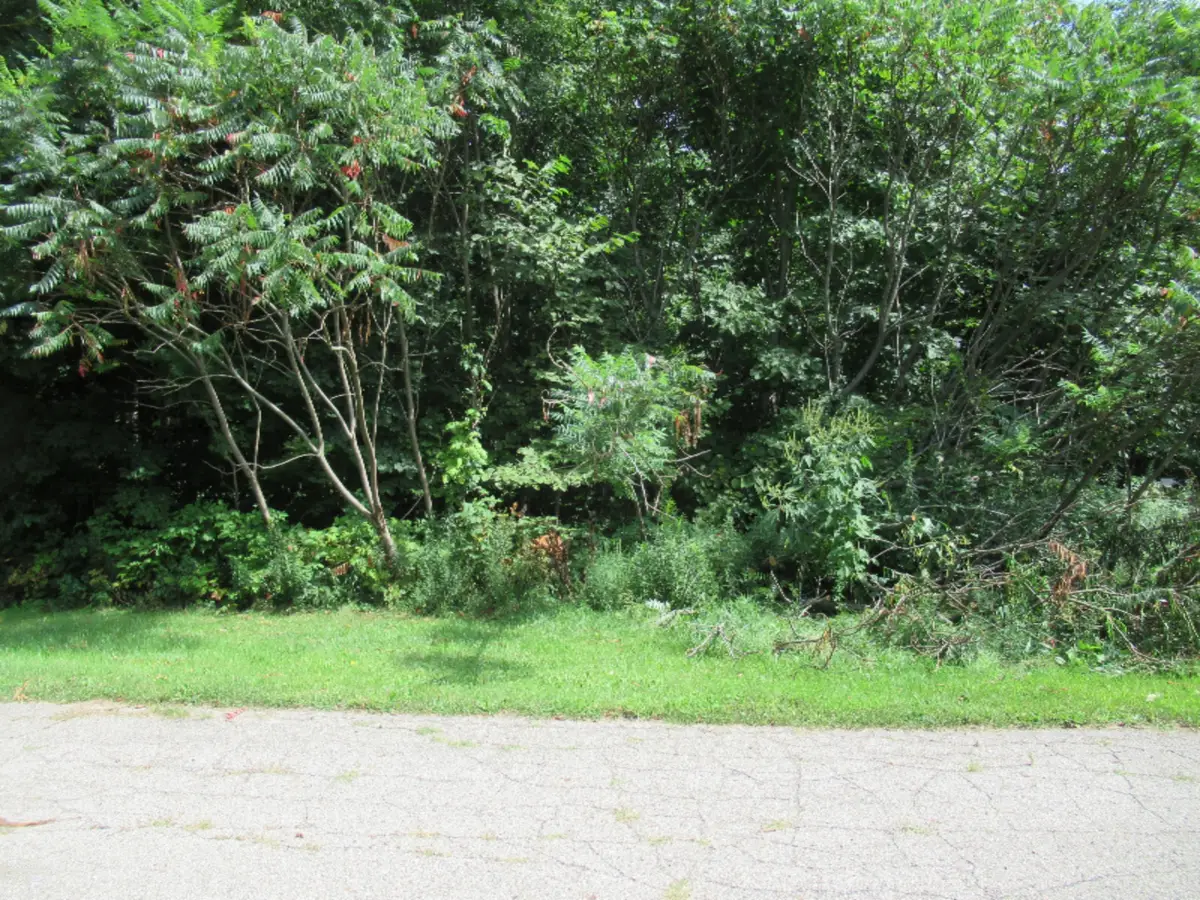 Tract 3 Deep Woods Drive, Cassopolis, MI 49031 - Image #1