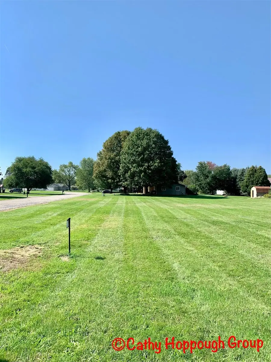 0 Reimer Drive, Ionia, MI 48846 - Image #3