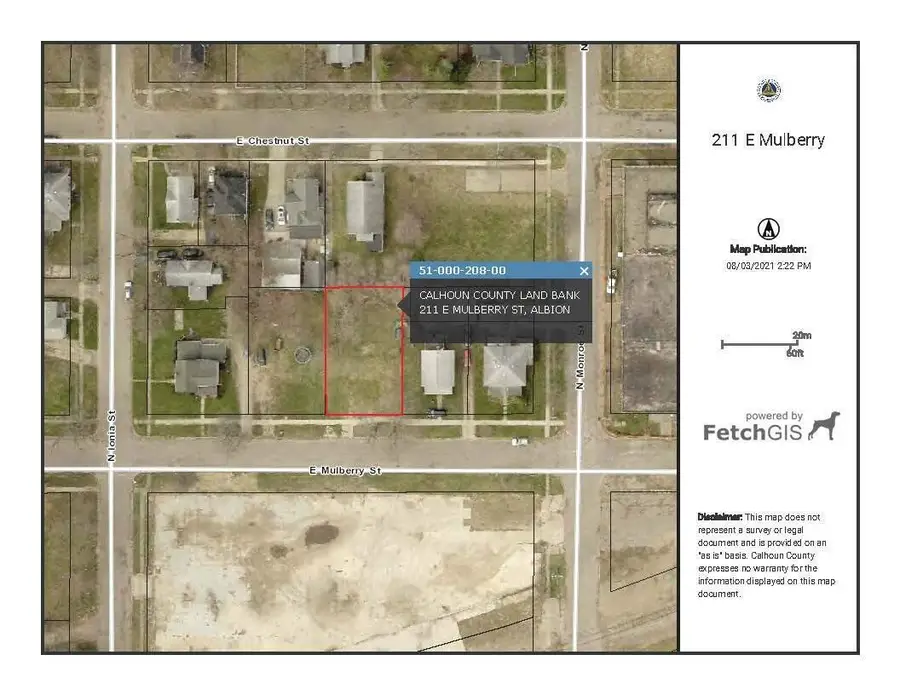 211 E Mulberry Street, Albion, MI 49224 - Image #2