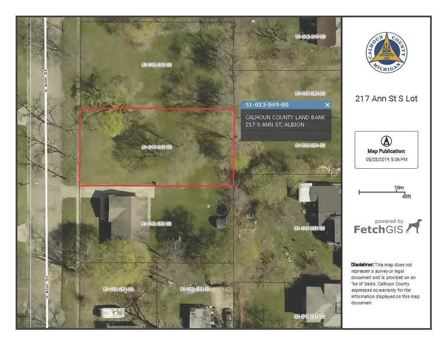 217 S Ann Street, Albion, MI 49224 - Image #2