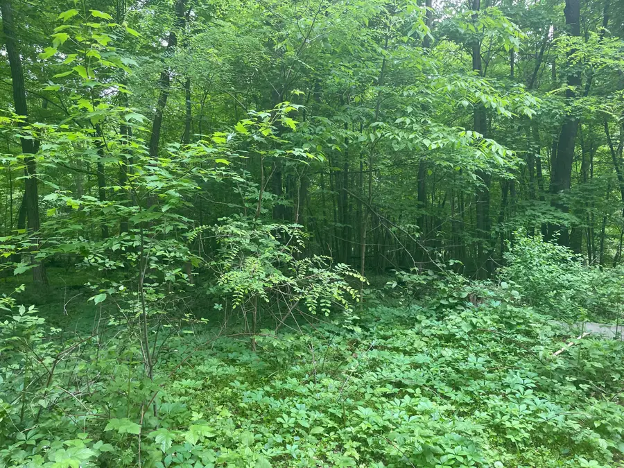 V/L Chippawa Circle Drive, Sherwood, MI 49089 - Image #3