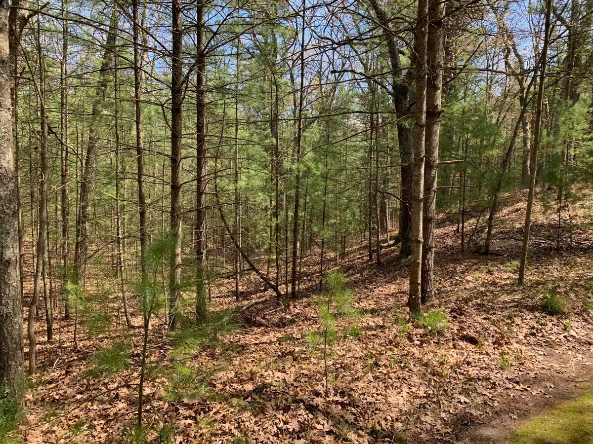 Lenox Avenue, Pentwater, MI 49449 - Image #1