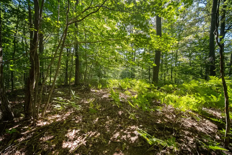 Emerald Ridge #29, Onekama, MI 49675 - Image #3