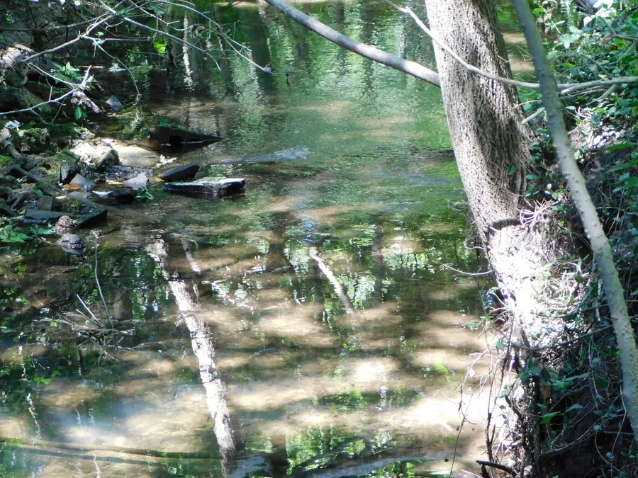 0 E Napier Avenue, Benton Harbor, MI 49022 - Image #2