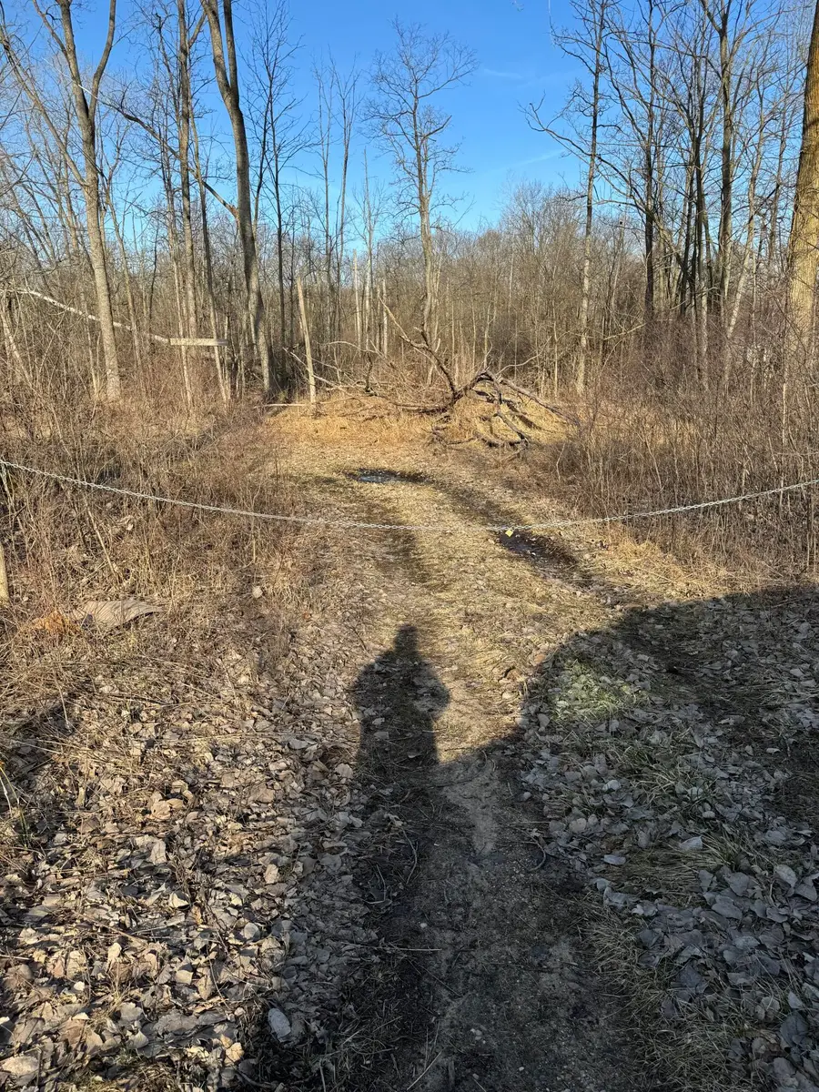 14551 Algoma Avenue Ne, Cedar Springs, MI 49319 - Image #2