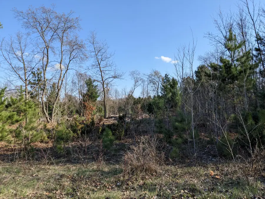 Bergstrom Drive, Kaleva, MI 49645 - Image #2