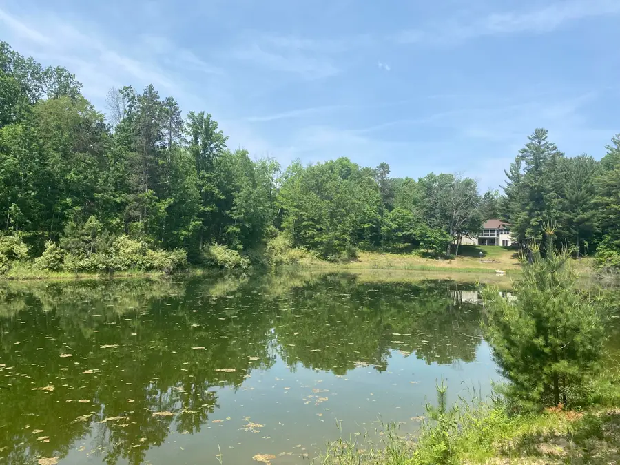 12004 Buchanan Road #42-43, Canadian Lakes, MI 49346 - Image #2