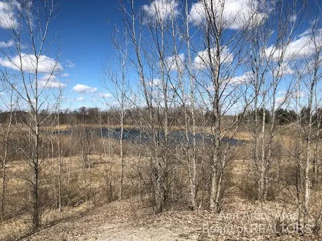 0 Arkona Road, Milan, MI 48160 - Image #3