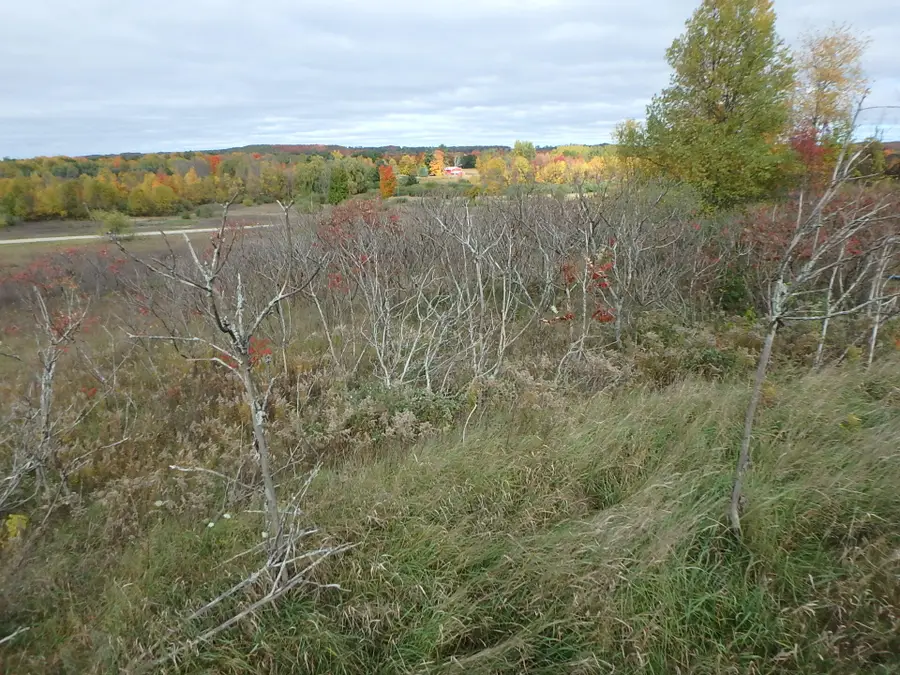 18155 Summerset Court, Shelby, MI 49455 - Image #3