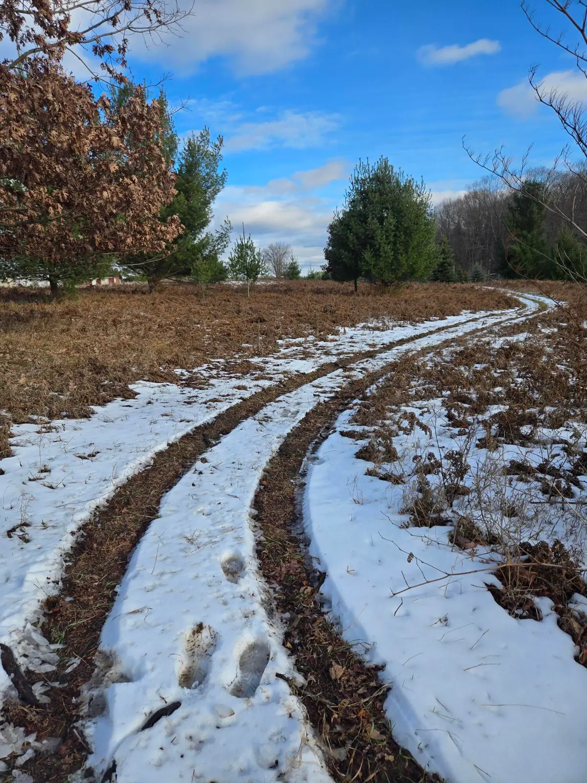 Lot 895 Lake Miramichi Drive, Evart, MI 49631 - Image #1