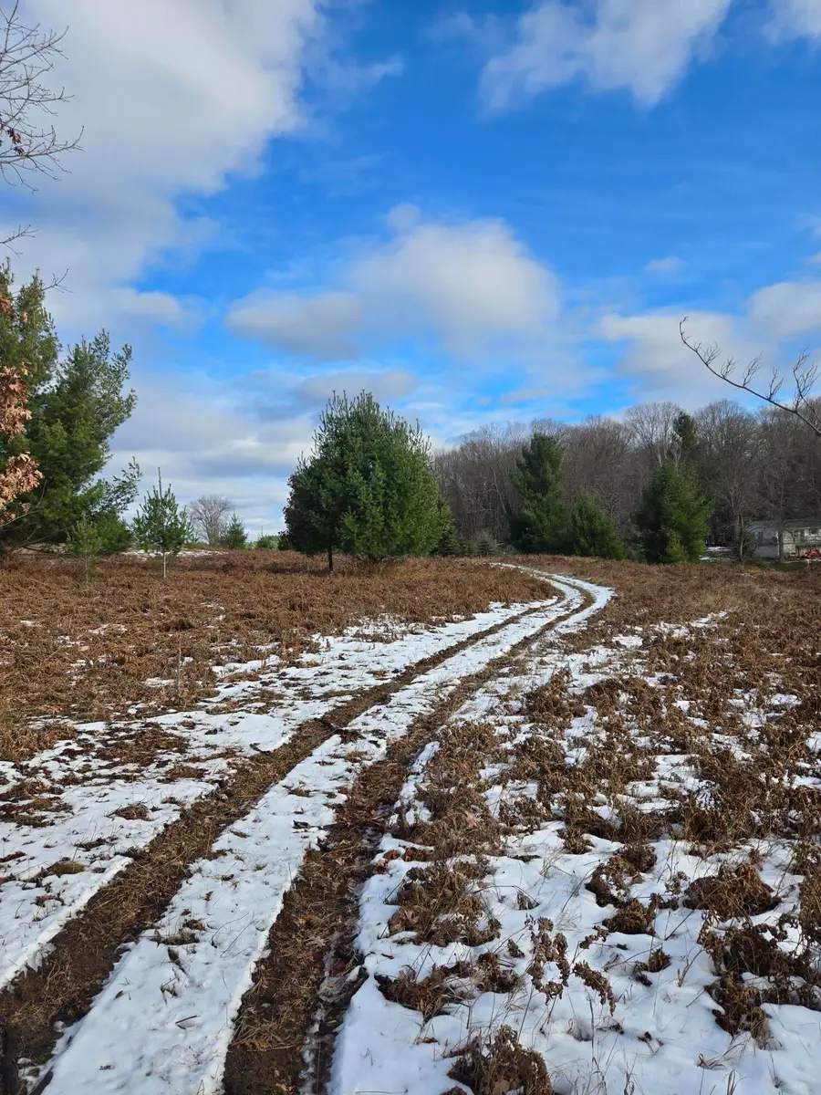 Lot 895 Lake Miramichi Drive, Evart, MI 49631 - Image #3