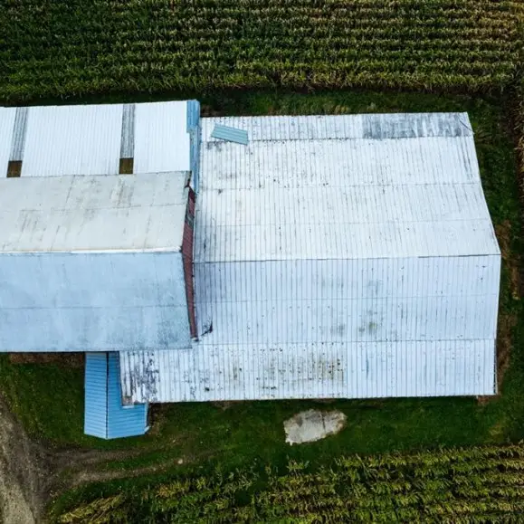 3761 Brown City Road, Imlay City, MI 48444 - Image #3