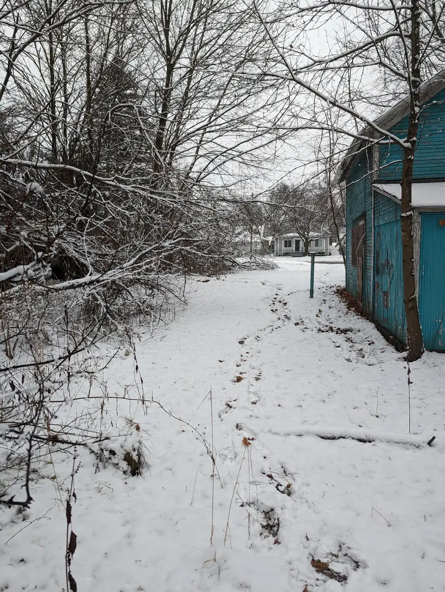 139 W Prospect Street, Jackson, MI 49203 - Image #3