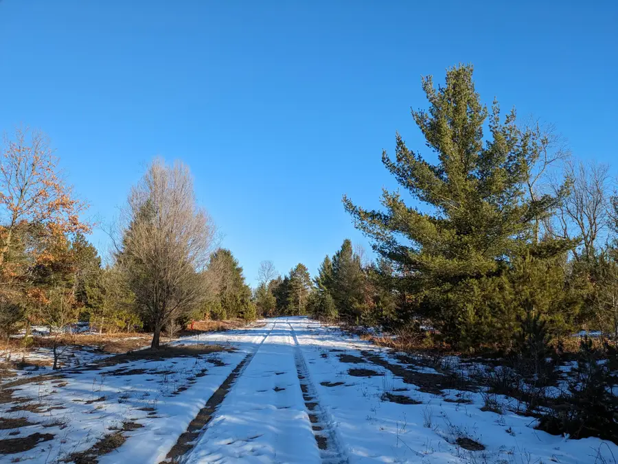 Bergstrom Drive, Kaleva, MI 49645 - Image #2