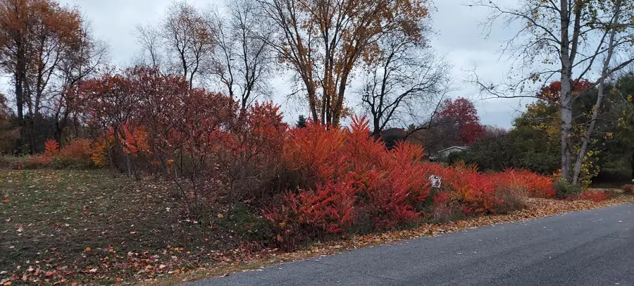 Lot 215 E Shore Drive, Stanton, MI 48888 - Image #2