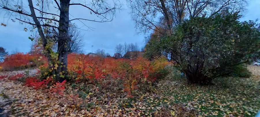 Lot 215 E Shore Drive, Stanton, MI 48888 - Image #3