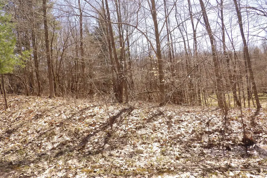 23042 Miramichi Drive, Evart, MI 49631 - Image #2