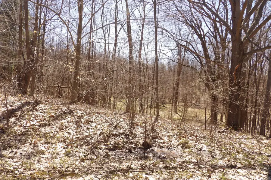 23042 Miramichi Drive, Evart, MI 49631 - Image #3