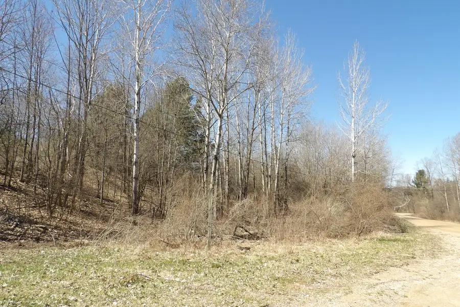 23094 Apache Trail, Evart, MI 49631 - Image #3