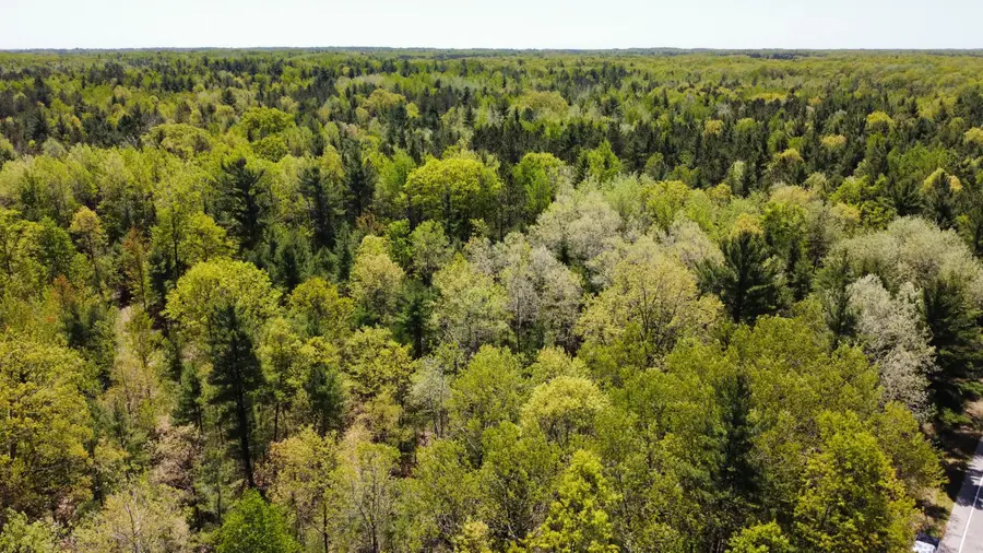 Red Apple Road, Manistee, MI 49660 - #3