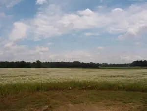 2150 17 Mile Road, Kent City, MI 49330 - Image #3