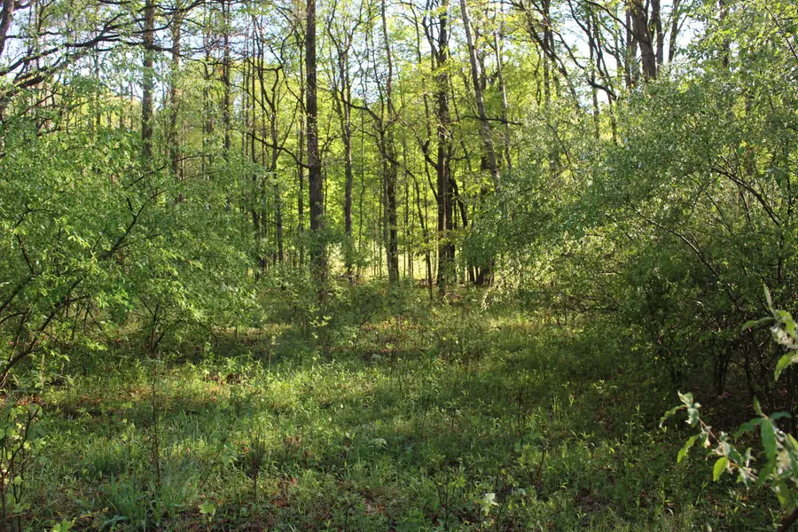 104th Avenue, Allegan, MI 49010 - Image #3