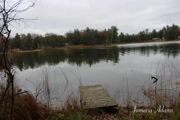 0 S Paris, Idlewild, MI 49642