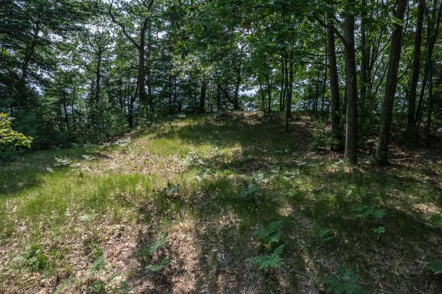 0 Montgomery, Pentwater, MI 49449 - Image #2