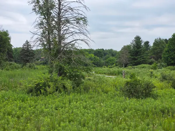 6172 Lake Road, Barryton, MI 49305