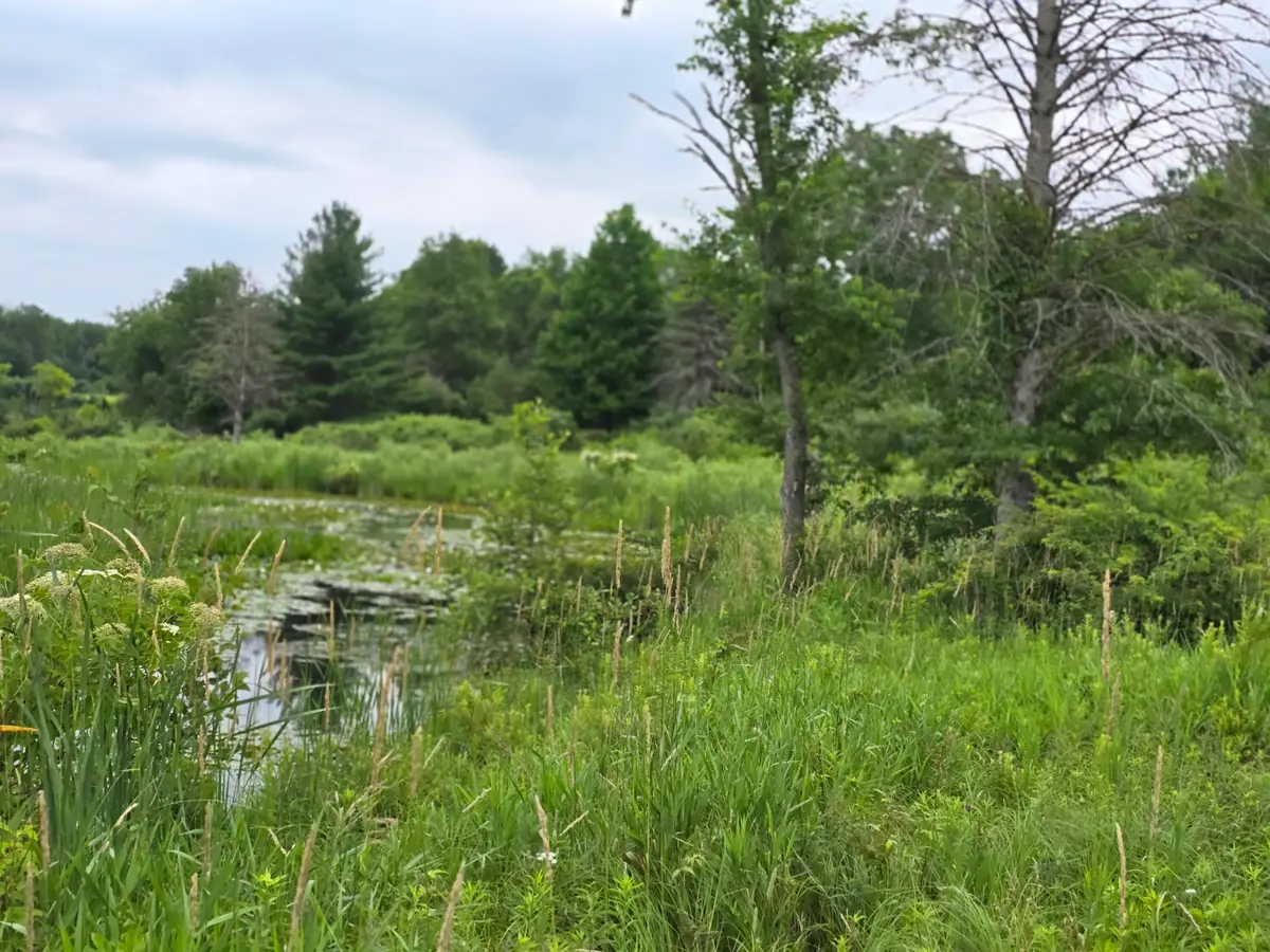 00-2 Lake Road, Barryton, MI 49305 - Image #1