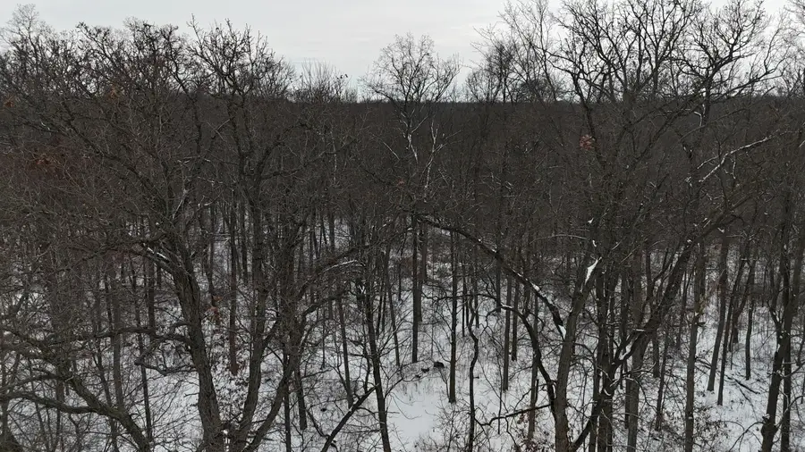 Crooked Creek Rd. 1, White Pigeon, MI 49099 - Image #2