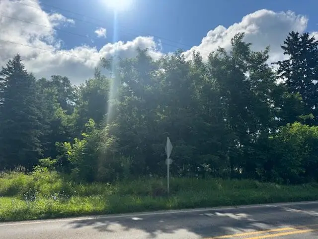 211 S Ray Quincy Road, Quincy, MI 49082 - Image #2