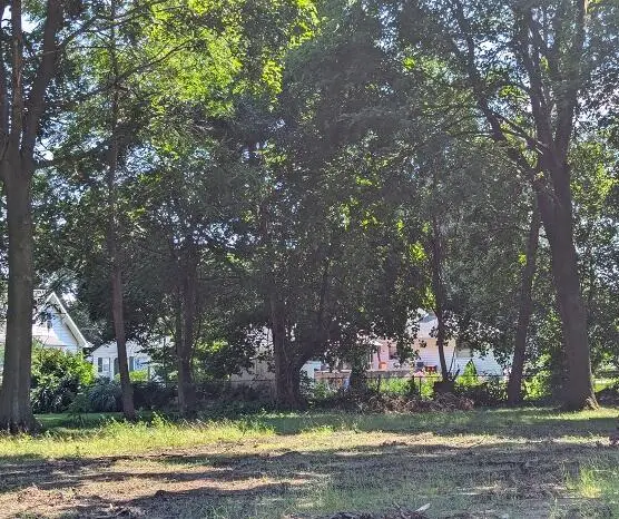 707 Seymour Avenue, Jackson, MI 49202 - Image #1