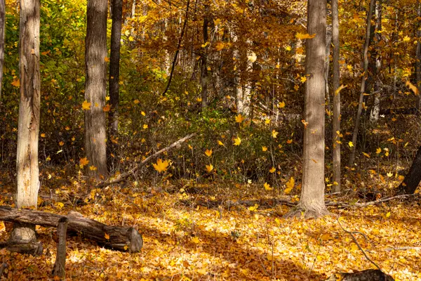 6863 N Nature Lane #Lot 3, La Porte, IN 46350